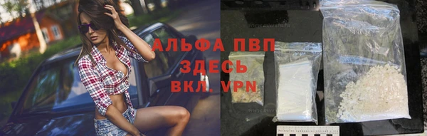 сатива Беломорск