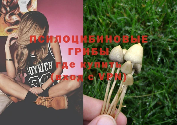 apvp Балабаново