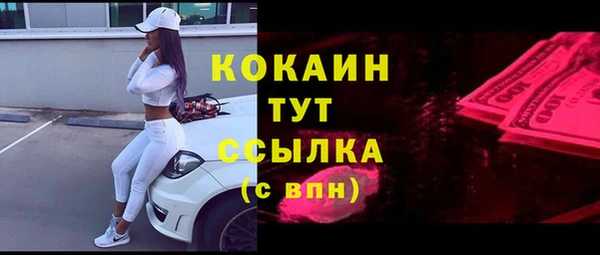 сатива Беломорск