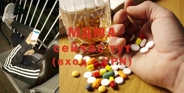 сатива Беломорск