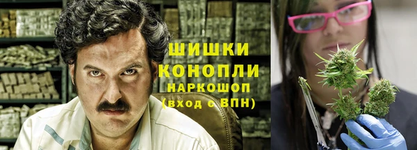 сатива Беломорск