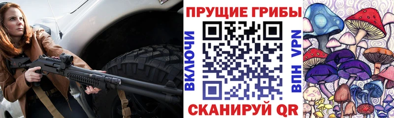 Галлюциногенные грибы мицелий  Бутурлиновка 