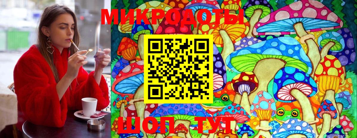 Галлюциногенные грибы Psilocybe  Вход с VPN  Бутурлиновка 