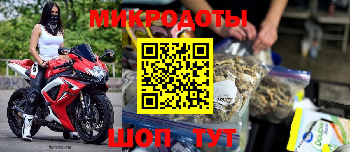 Галлюциногенные грибы Psilocybe Бутурлиновка